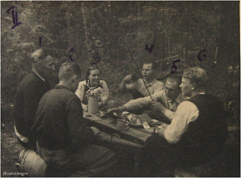 Metsavennad suvel