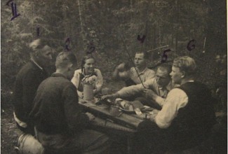 Metsavennad suvel